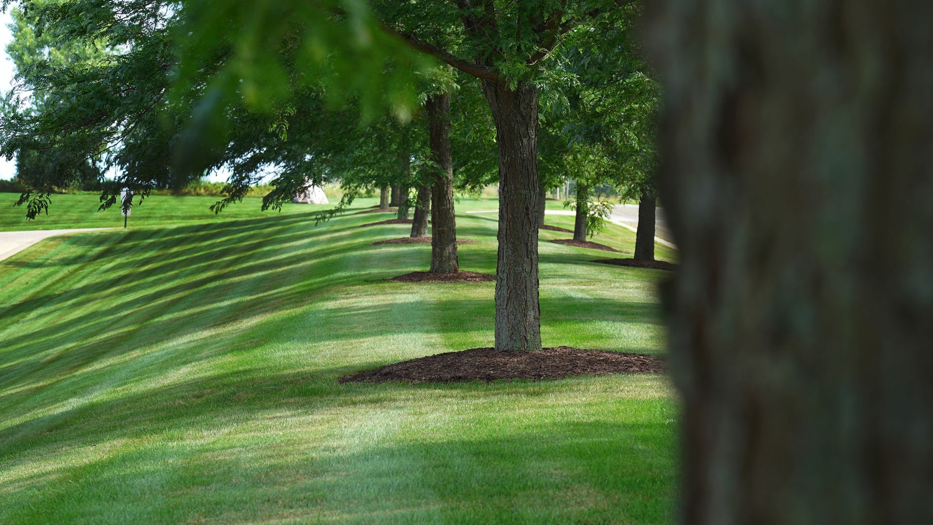 Madison Lawn Care Maintenance, Madison Landscape And Snow Removal