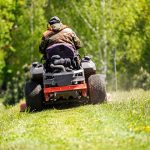 Spring Lawn Care Tips in Wisconsin