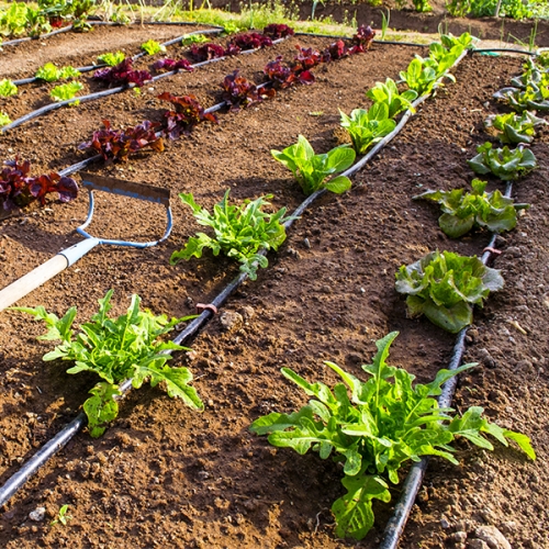 c-irrigation c-irrigation
